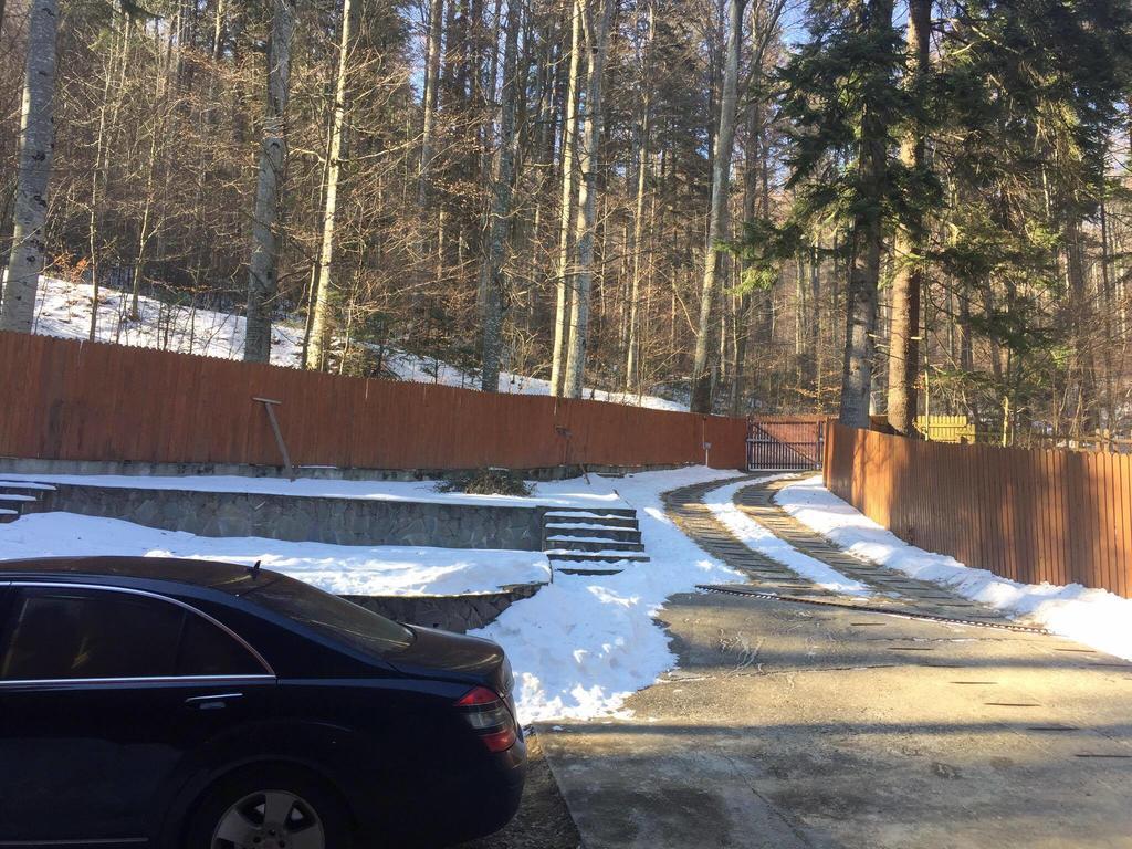 Villa Mara Sinaia Esterno foto