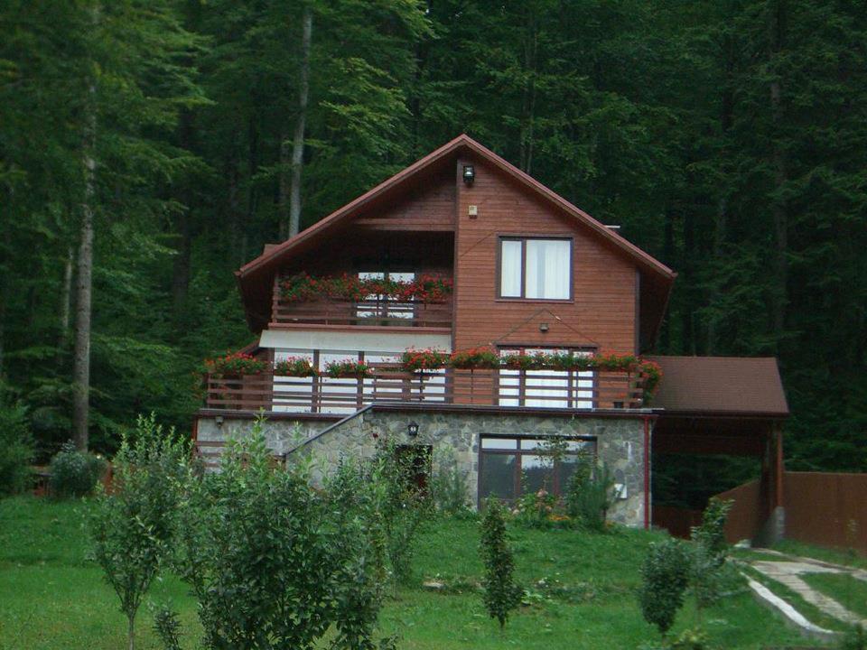 Villa Mara Sinaia Esterno foto