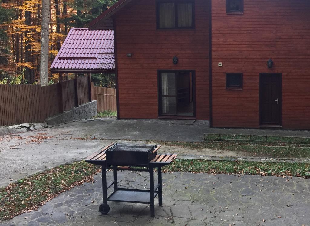 Villa Mara Sinaia Esterno foto